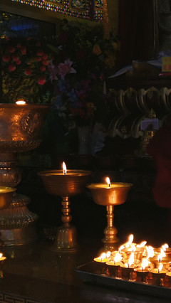 秋山無樹故崚嶒,幾度支筇未忍登。 荒路行愁逢牧馬,舊交老漸變高僧。 鐘樓自吼南朝寺,佛塔還燃半夜燈。 莫向雨花臺北望,寒云黯淡是鐘陵。